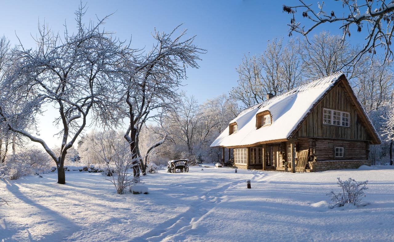 Paedaste Manor Екстериор снимка
